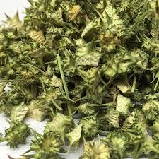 مکمل تریبلوس Tribulus Terrestris